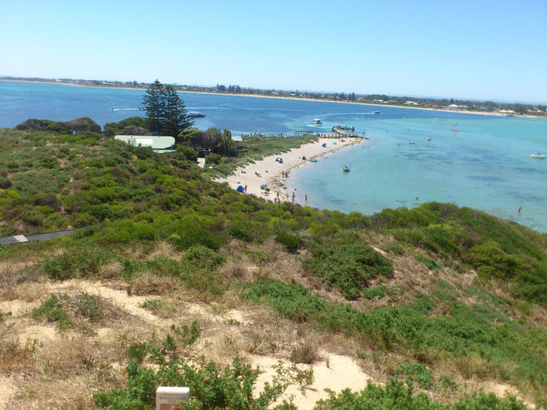 Penguin Island 2 – Barry Stuart Cable